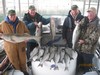 (11/21/2014) - Nice Striped Bass